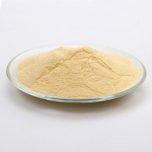 Yeast extract - Hóa Chất Thiên Việt - Công Ty TNHH Hóa Chất Thiên Việt